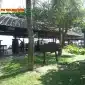 Khong gian am thuc san vuon mai la xanh mat 85x85