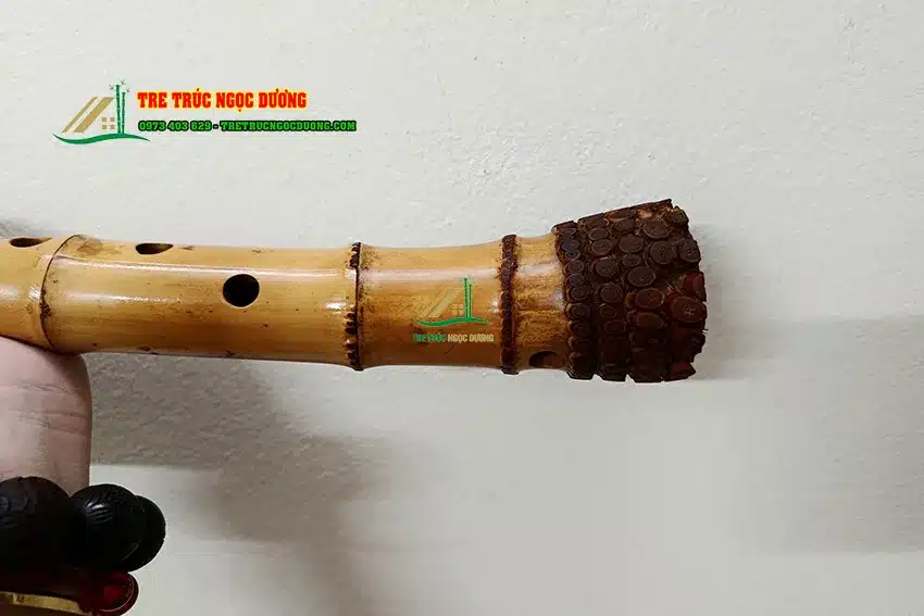 Cây sáo trúc đặc biệt còn nguyên cả phẩn gốc