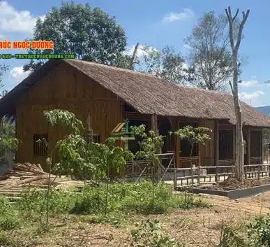 Ngôi nhà tranh mái lá giữa Thung Lũng Hoa Phủ Quỳ