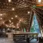 Quan cafe choi la dep giua thien nhien xanh mat 85x85