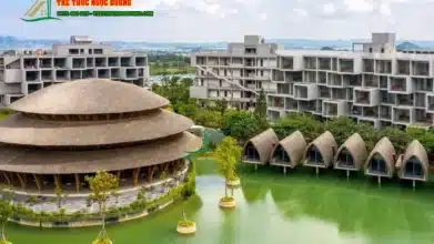 Nhà mái vòm bằng tre: Giải pháp thi công không gian lớn độc bản và tối ưu kết cấu 3 Thi công nhà mái vòm bằng tre với kiến trúc độc bản