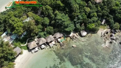 Cách thiết kế Homestay ven biển độc bản: Biến vật liệu thô mộc thành kiến trúc nghỉ dưỡng cao cấp 4 Thiết kế homestay ven biển mở tầm nhìn ra đại dương